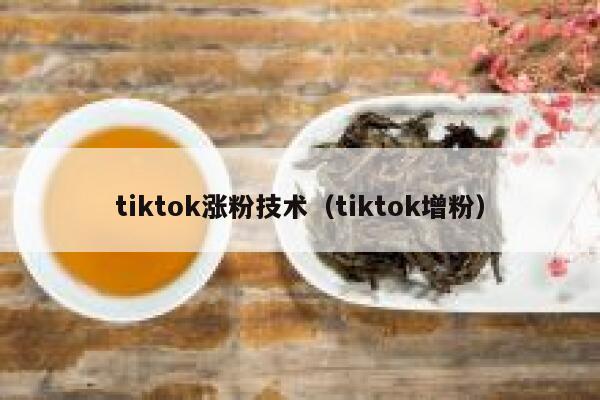 tiktok涨粉技术（tiktok增粉）