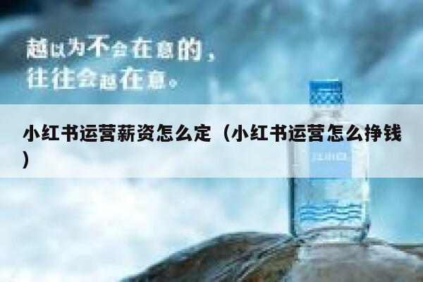 小红书运营薪资怎么定（小红书运营怎么挣钱）