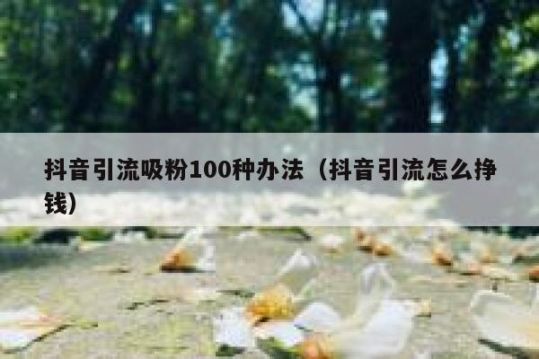 抖音引流吸粉100种办法（抖音引流怎么挣钱）