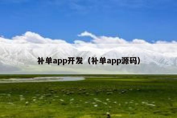 补单app开发（补单app源码）