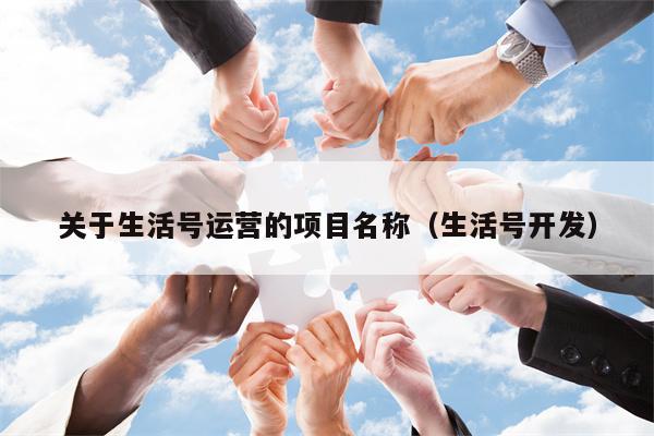 关于生活号运营的项目名称（生活号开发）