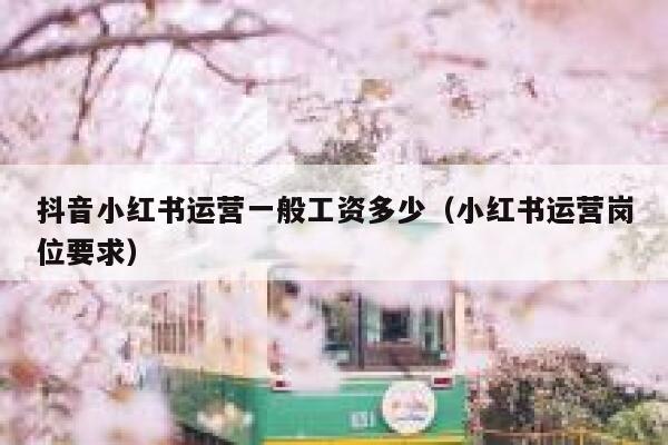 抖音小红书运营一般工资多少（小红书运营岗位要求）
