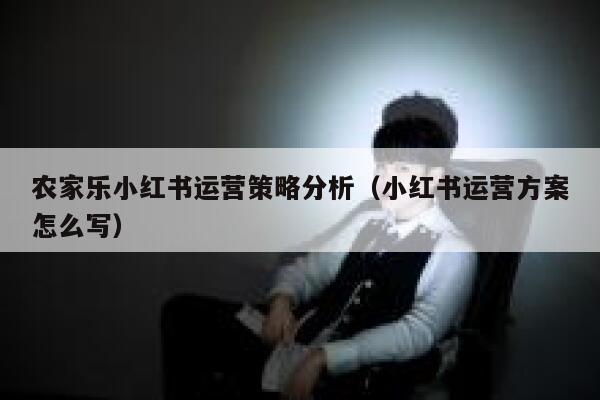 农家乐小红书运营策略分析（小红书运营方案怎么写）