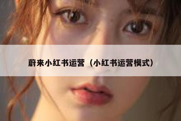 蔚来小红书运营（小红书运营模式）
