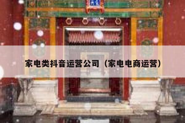 家电类抖音运营公司（家电电商运营）