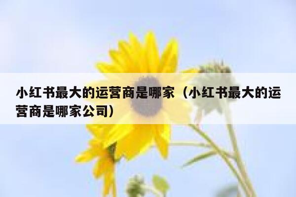 小红书最大的运营商是哪家（小红书最大的运营商是哪家公司）