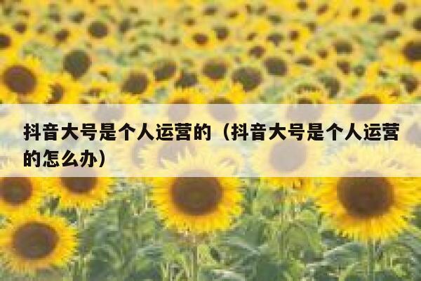 抖音大号是个人运营的（抖音大号是个人运营的怎么办）