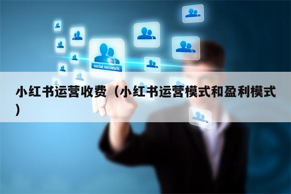 小红书运营收费（小红书运营模式和盈利模式）
