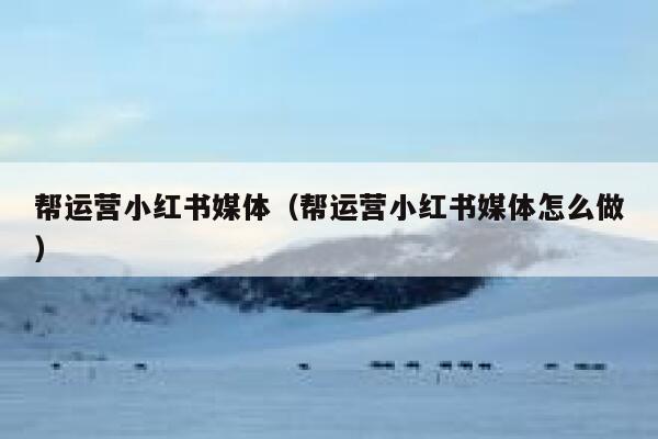 帮运营小红书媒体（帮运营小红书媒体怎么做）