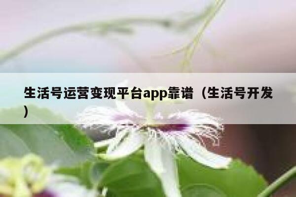 生活号运营变现平台app靠谱（生活号开发）