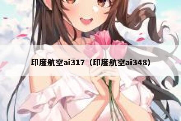 印度航空ai317（印度航空ai348）