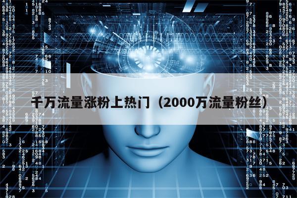 千万流量涨粉上热门（2000万流量粉丝）