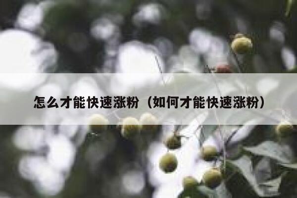 怎么才能快速涨粉（如何才能快速涨粉）