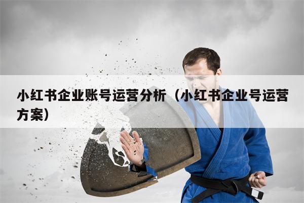小红书企业账号运营分析（小红书企业号运营方案）