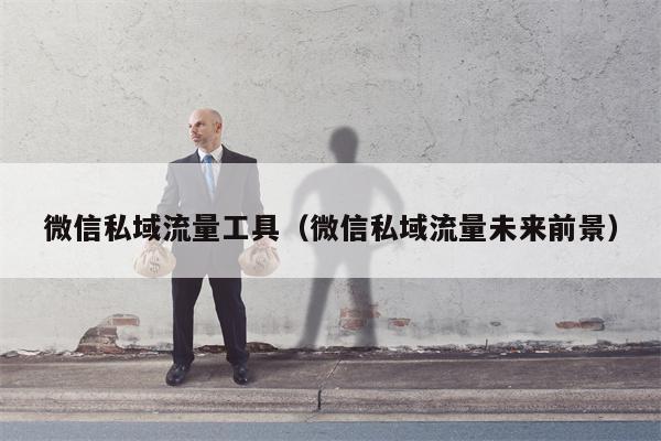 微信私域流量工具（微信私域流量未来前景）