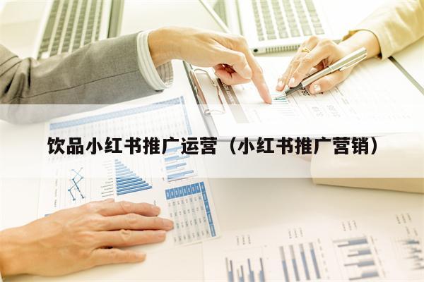 饮品小红书推广运营（小红书推广营销）