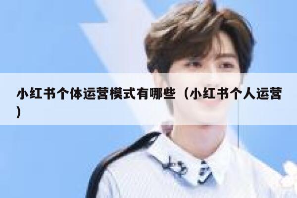 小红书个体运营模式有哪些（小红书个人运营）