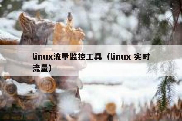 linux流量监控工具（linux 实时流量）