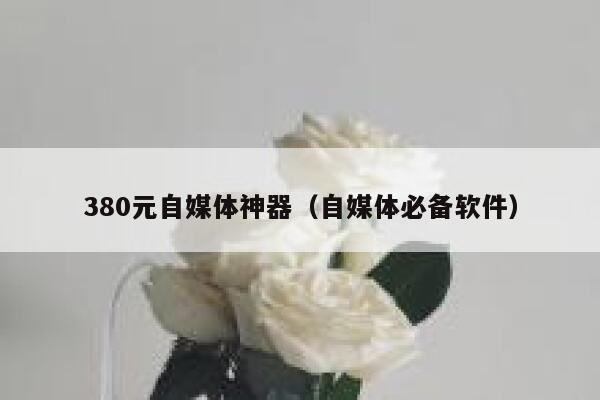 380元自媒体神器（自媒体必备软件）