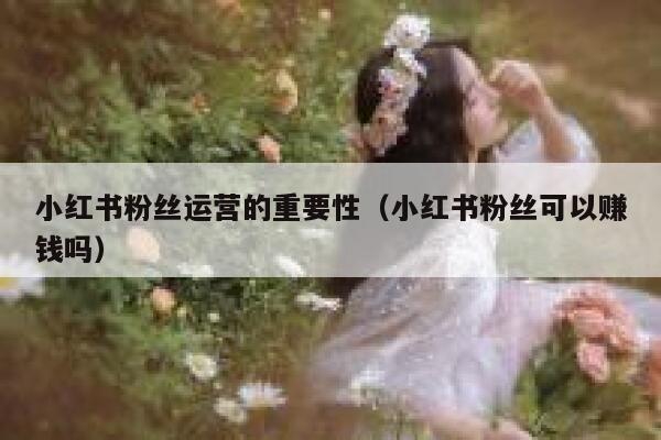 小红书粉丝运营的重要性（小红书粉丝可以赚钱吗）