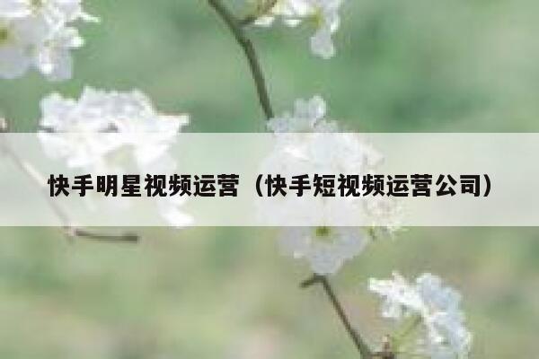 快手明星视频运营（快手短视频运营公司）