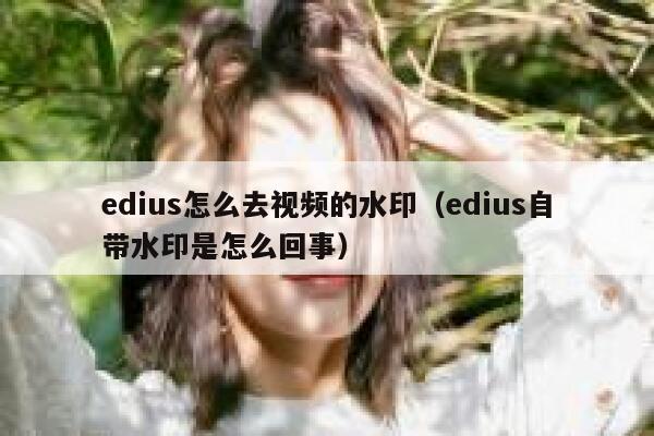 edius怎么去视频的水印（edius自带水印是怎么回事）