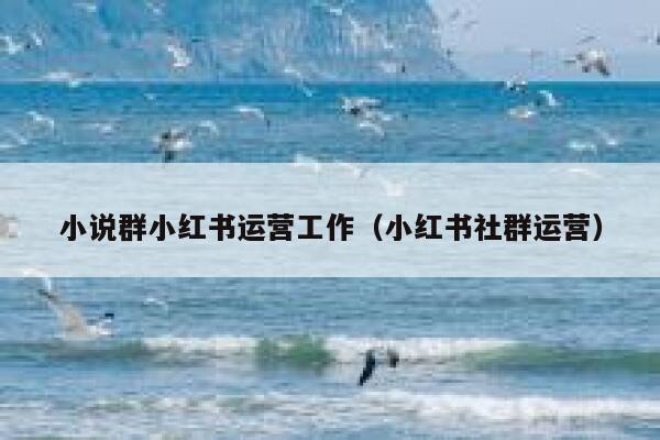小说群小红书运营工作（小红书社群运营）