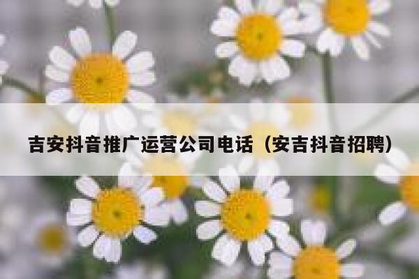 吉安抖音推广运营公司电话（安吉抖音招聘）
