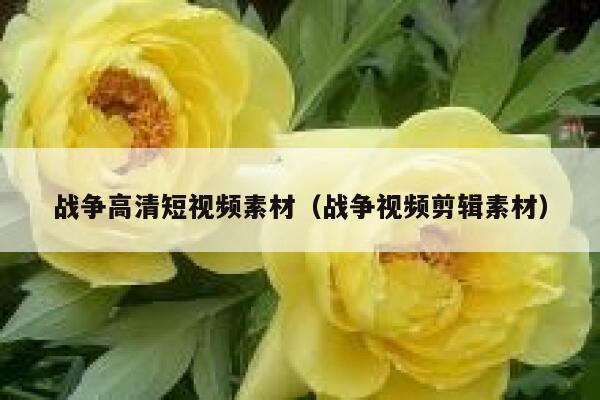 战争高清短视频素材（战争视频剪辑素材）
