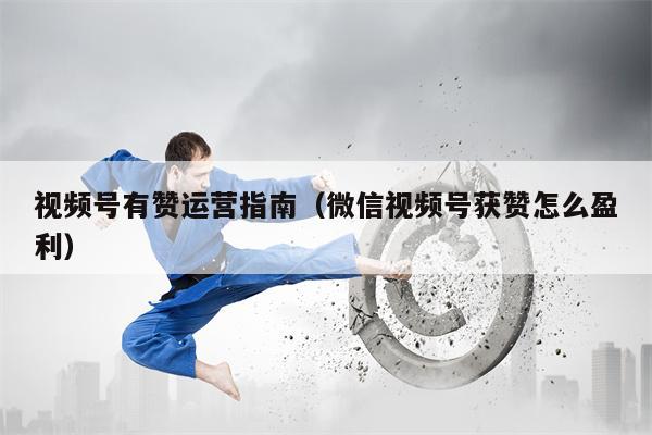 视频号有赞运营指南（微信视频号获赞怎么盈利）