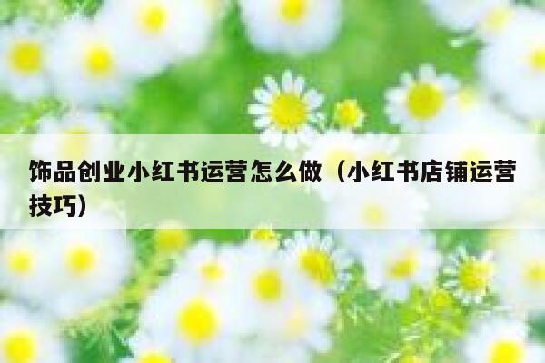 饰品创业小红书运营怎么做（小红书店铺运营技巧）