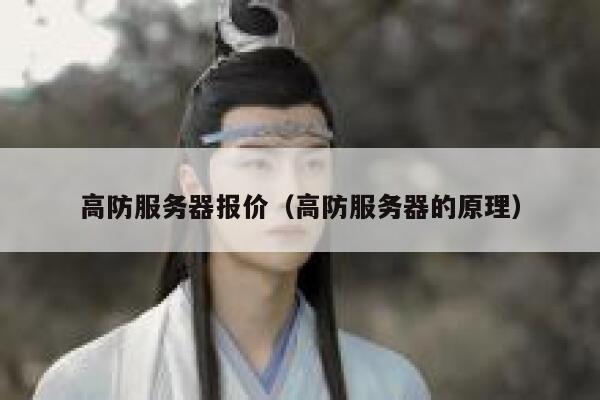 高防服务器报价（高防服务器的原理）