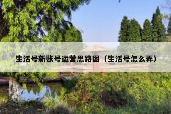 生活号新账号运营思路图（生活号怎么弄）