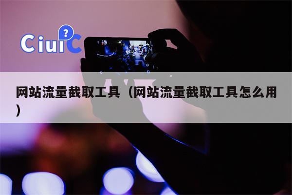 网站流量截取工具（网站流量截取工具怎么用）