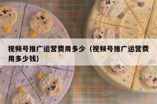 视频号推广运营费用多少（视频号推广运营费用多少钱）