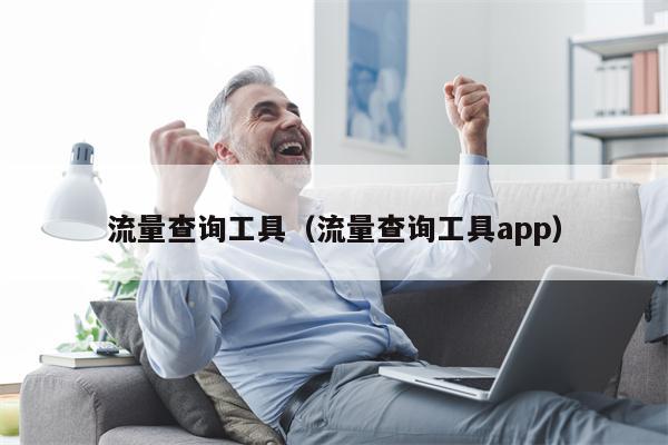 流量查询工具（流量查询工具app）