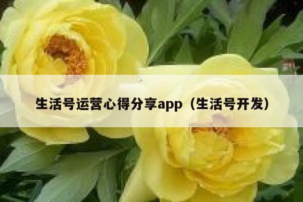 生活号运营心得分享app（生活号开发）