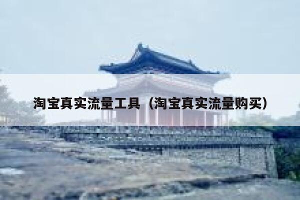 淘宝真实流量工具（淘宝真实流量购买）