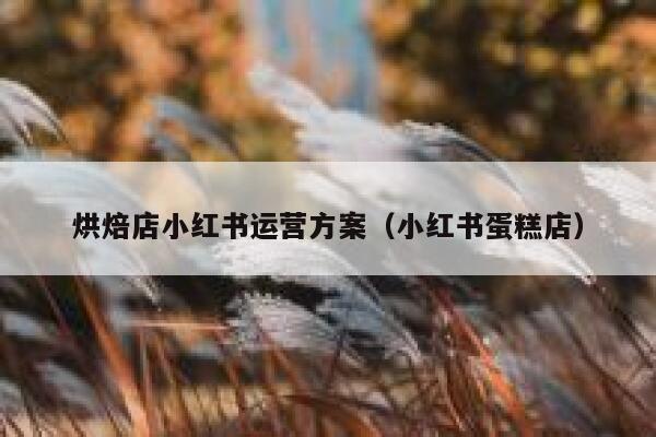 烘焙店小红书运营方案（小红书蛋糕店）