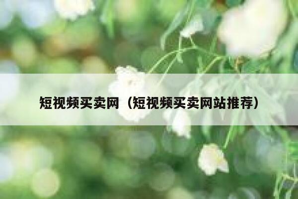 短视频买卖网（短视频买卖网站推荐）