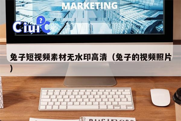 兔子短视频素材无水印高清（兔子的视频照片）