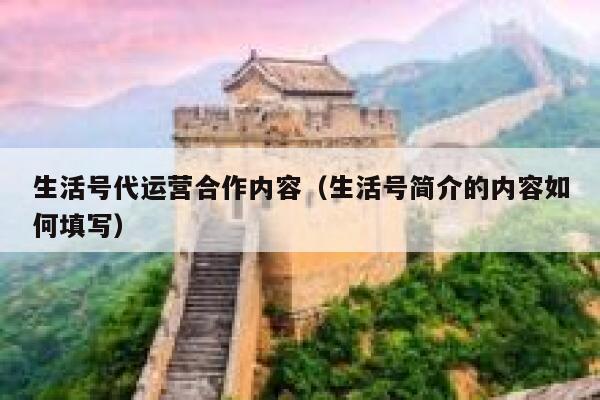 生活号代运营合作内容（生活号简介的内容如何填写）