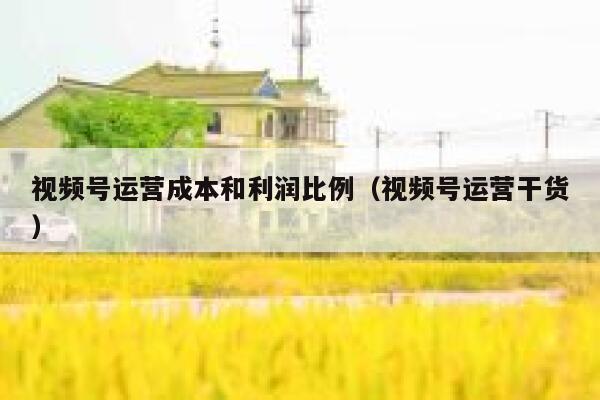 视频号运营成本和利润比例（视频号运营干货）