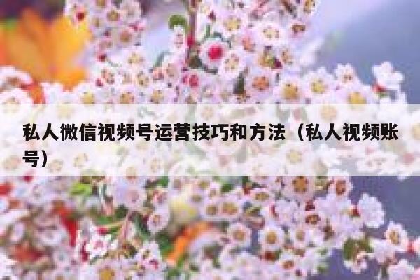 私人微信视频号运营技巧和方法（私人视频账号）