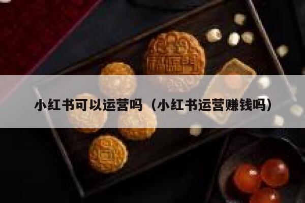小红书可以运营吗（小红书运营赚钱吗）