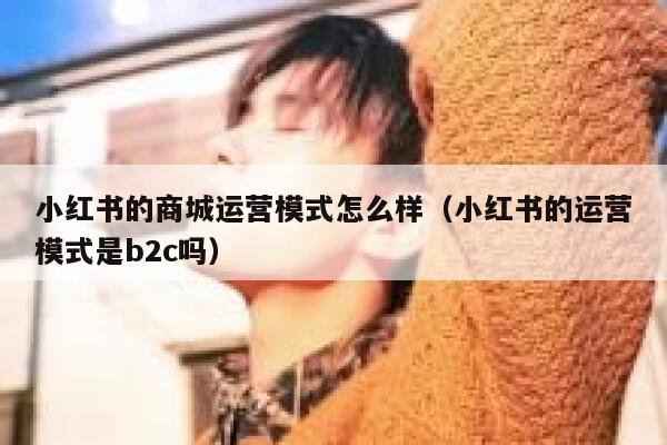 小红书的商城运营模式怎么样（小红书的运营模式是b2c吗）