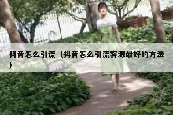 抖音怎么引流(抖音怎么引流客源最好的方法) 抖音怎么引流(抖音怎么引流客源最好的方法)