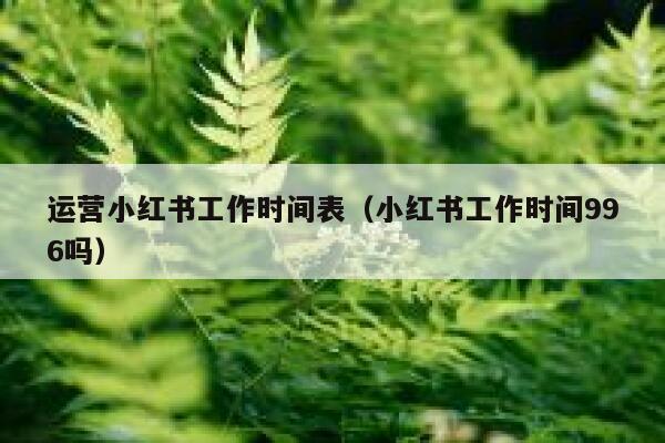 运营小红书工作时间表(小红书工作时间996吗) 运营小红书工作时间表(小红书工作时间996吗)