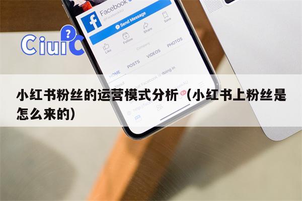 小红书粉丝的运营模式分析(小红书上粉丝是怎么来的) 小红书粉丝的运营模式分析(小红书上粉丝是怎么来的)