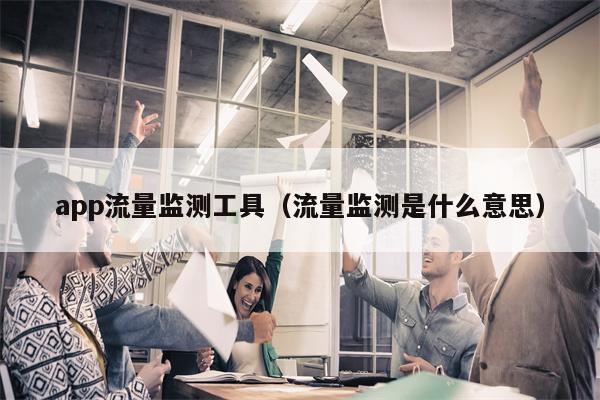 app流量监测工具（流量监测是什么意思）